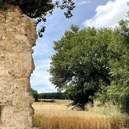 Campagne Famille 15 Pers Piscine Chauffee Jeux Enfants Petanque Tatil Evi Saint-Sauvy