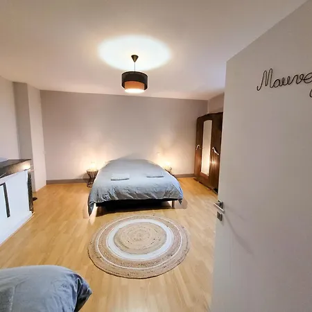 Campagne Famille 15 Pers Piscine Chauffee Jeux Enfants Petanque Tatil Evi Saint-Sauvy