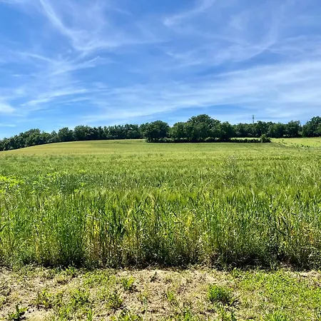 Campagne Famille 15 Pers Piscine Chauffee Jeux Enfants Petanque Tatil Evi Saint-Sauvy